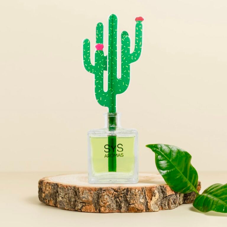 Ambientador Difusor Cactus Aloe Vera-Bambú 90ml SYS Aromas decorativo con aroma fresco y herbal