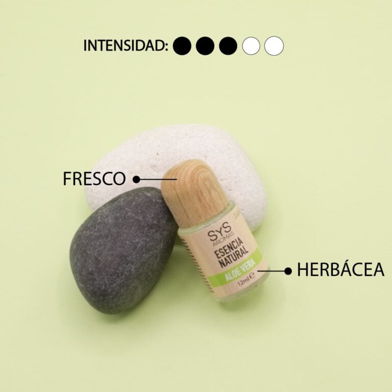 Esencia Aloe Vera 12ml SYS Aromas junto a piedras con aroma fresco y herbáceo e intensidad tres de cinco