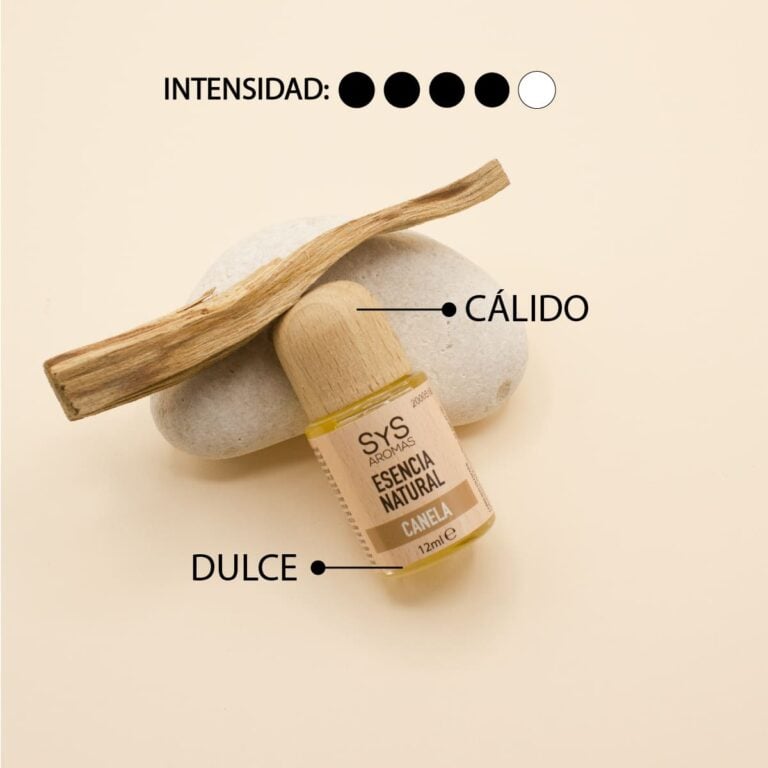Esencia Canela 12ml SYS Aromas junto a piedra y rama de canela con aroma cálido dulce e intensidad cuatro de cinco