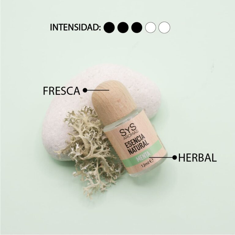 Esencia Menta 12ml SYS Aromas junto a piedra blanca y liquen con perfil fresco y herbal e intensidad tres de cinco