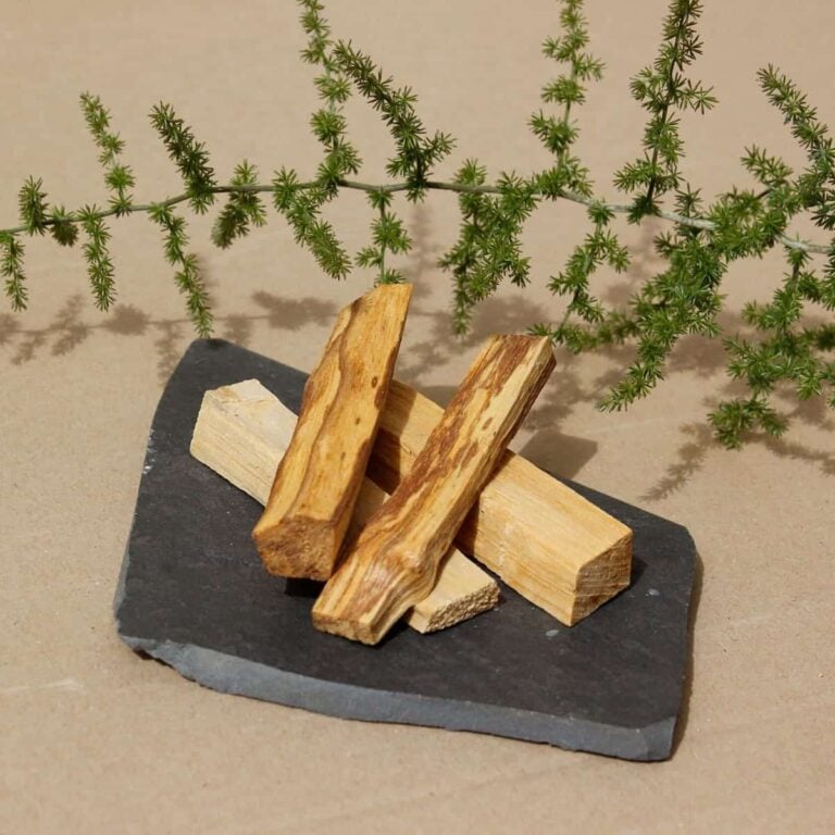 Piezas de Palo Santo 100g SYS Aromas sobre pizarra con una rama verde decorativa