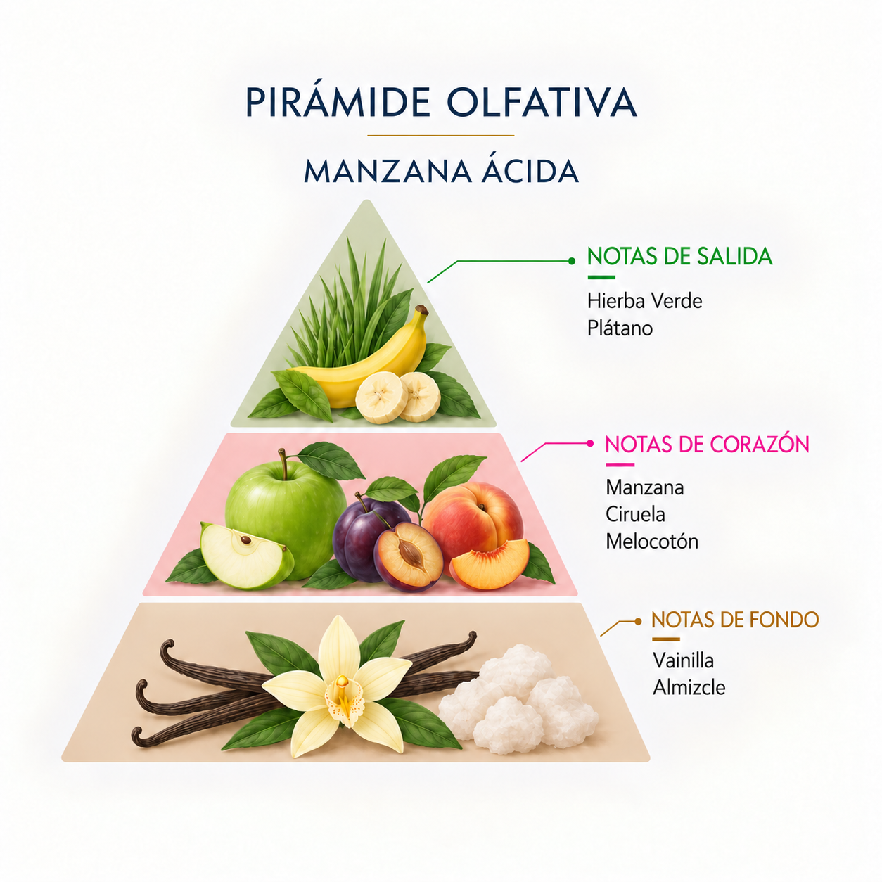 Pirámide olfativa del Ambientador Coche Manzana Ácida Style 7 ml SYS Aromas con hierba verde, plátano, manzana, ciruela, melocotón, vainilla y almizcle.