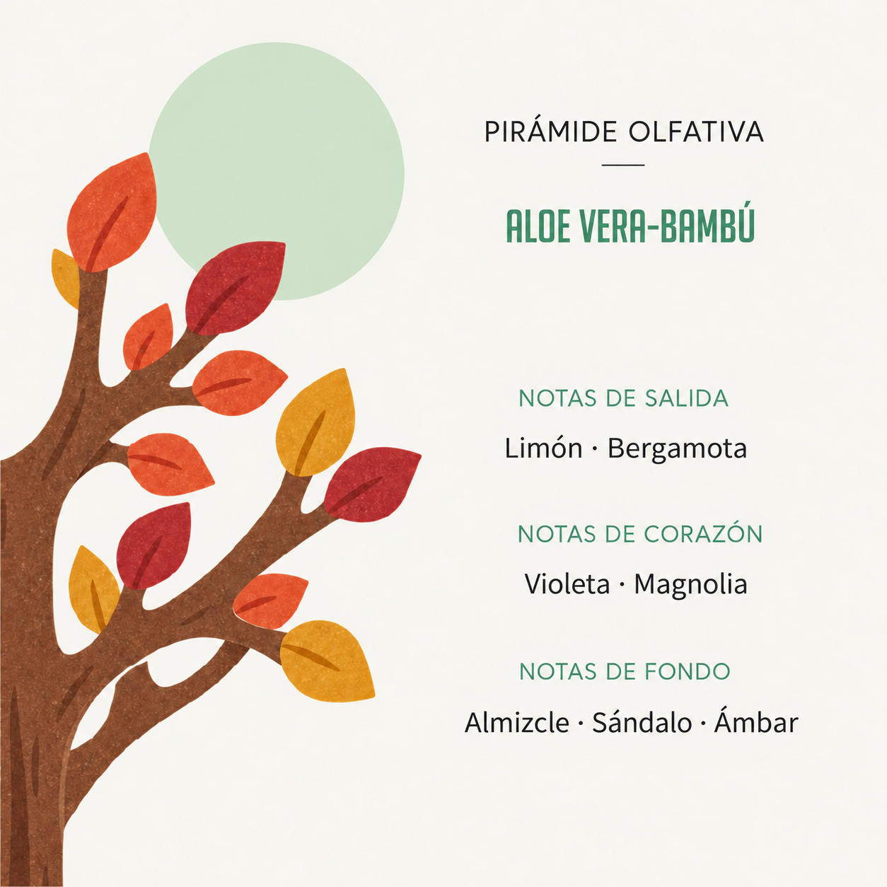 Pirámide olfativa del Ambientador Difusor Árbol Aloe Vera-Bambú 90 ml SYS Aromas con notas de limón, bergamota, violeta, magnolia, almizcle, sándalo y ámbar.