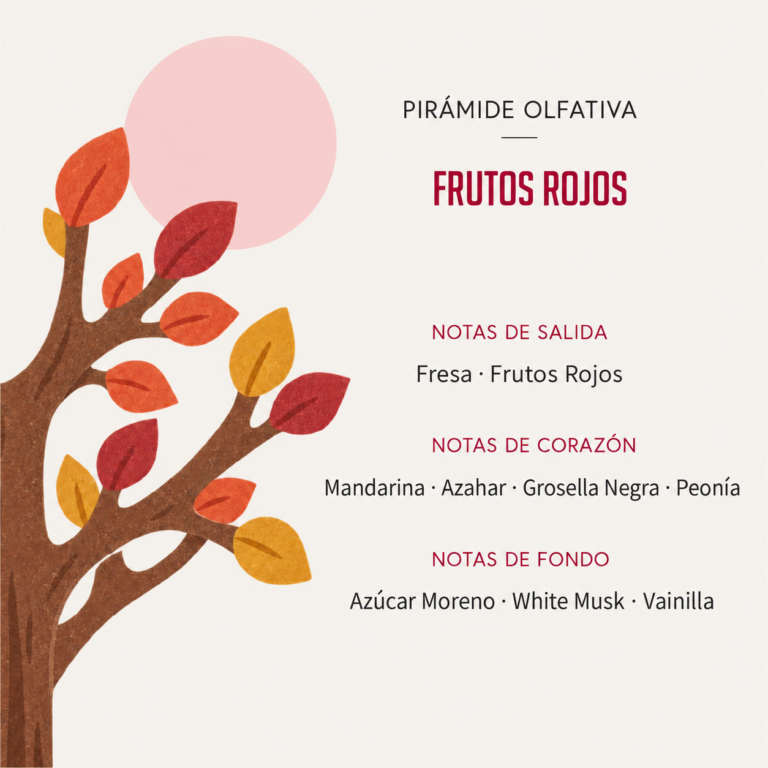 Pirámide olfativa del Ambientador Difusor Árbol Frutos Rojos 90 ml SYS Aromas con fresa, frutos rojos, mandarina, azahar, grosella negra, peonía, azúcar moreno, almizcle blanco y vainilla.