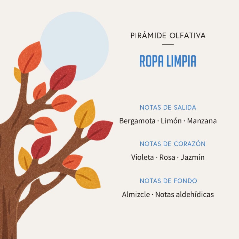 Pirámide olfativa del Ambientador Difusor Árbol Ropa Limpia 90 ml SYS Aromas con bergamota, limón, manzana, violeta, rosa, jazmín, almizcle y notas aldehídicas.