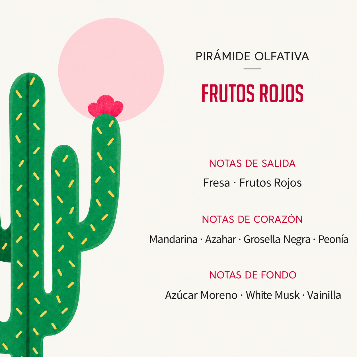 Pirámide olfativa del Ambientador Difusor Cactus Frutos Rojos 90 ml SYS Aromas con fresa, frutos rojos, mandarina, azahar, grosella negra, peonía, azúcar moreno, almizcle blanco y vainilla.