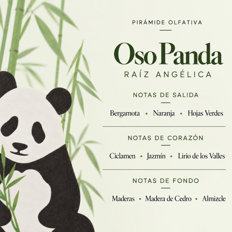 Pirámide olfativa del Ambientador Difusor Oso Panda Raíz Angélica 90 ml SYS Aromas con bergamota, naranja, hojas verdes, ciclamen, jazmín, lirio de los valles, maderas, cedro y almizcle.
