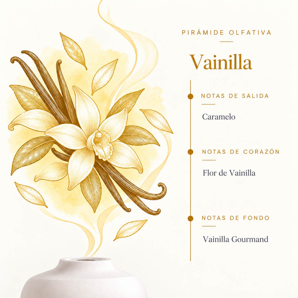 Pirámide olfativa de la Esencia Hidrosoluble Vainilla 50 ml SYS Aromas con caramelo, flor de vainilla y vainilla gourmand.