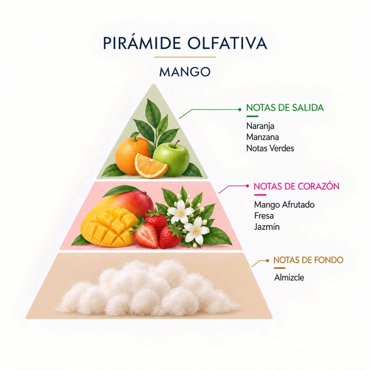 Pirámide olfativa de la Esencia Natural Mango 12 ml SYS Aromas con naranja, manzana, notas verdes, mango, fresa, jazmín y almizcle.