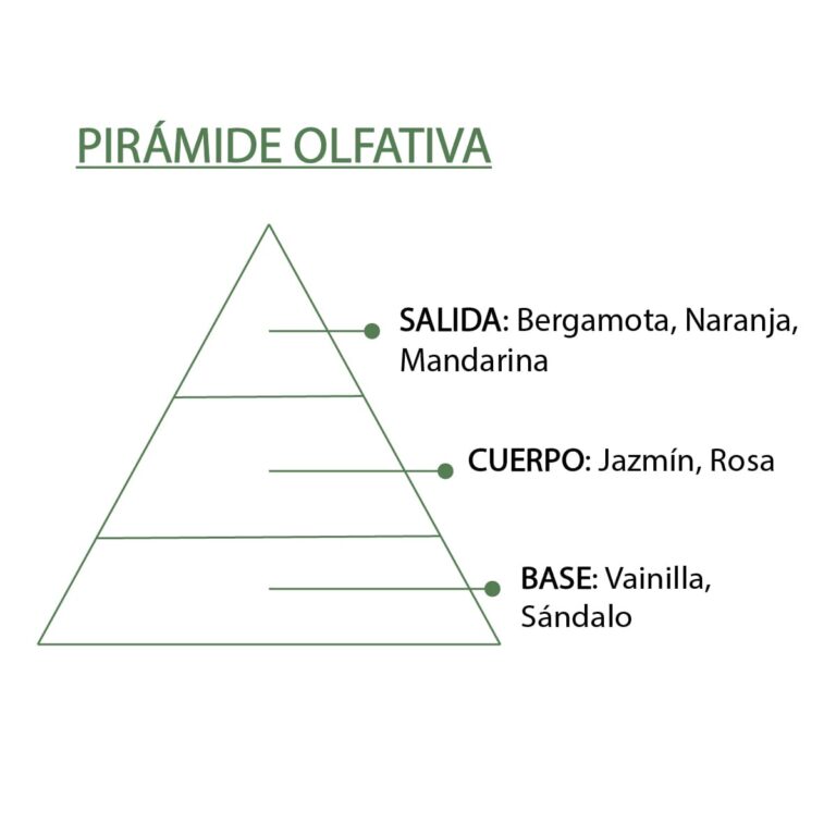 Pirámide olfativa de la Esencia Orquídea Blanca SYS Aromas con bergamota naranja mandarina jazmín rosa vainilla y sándalo