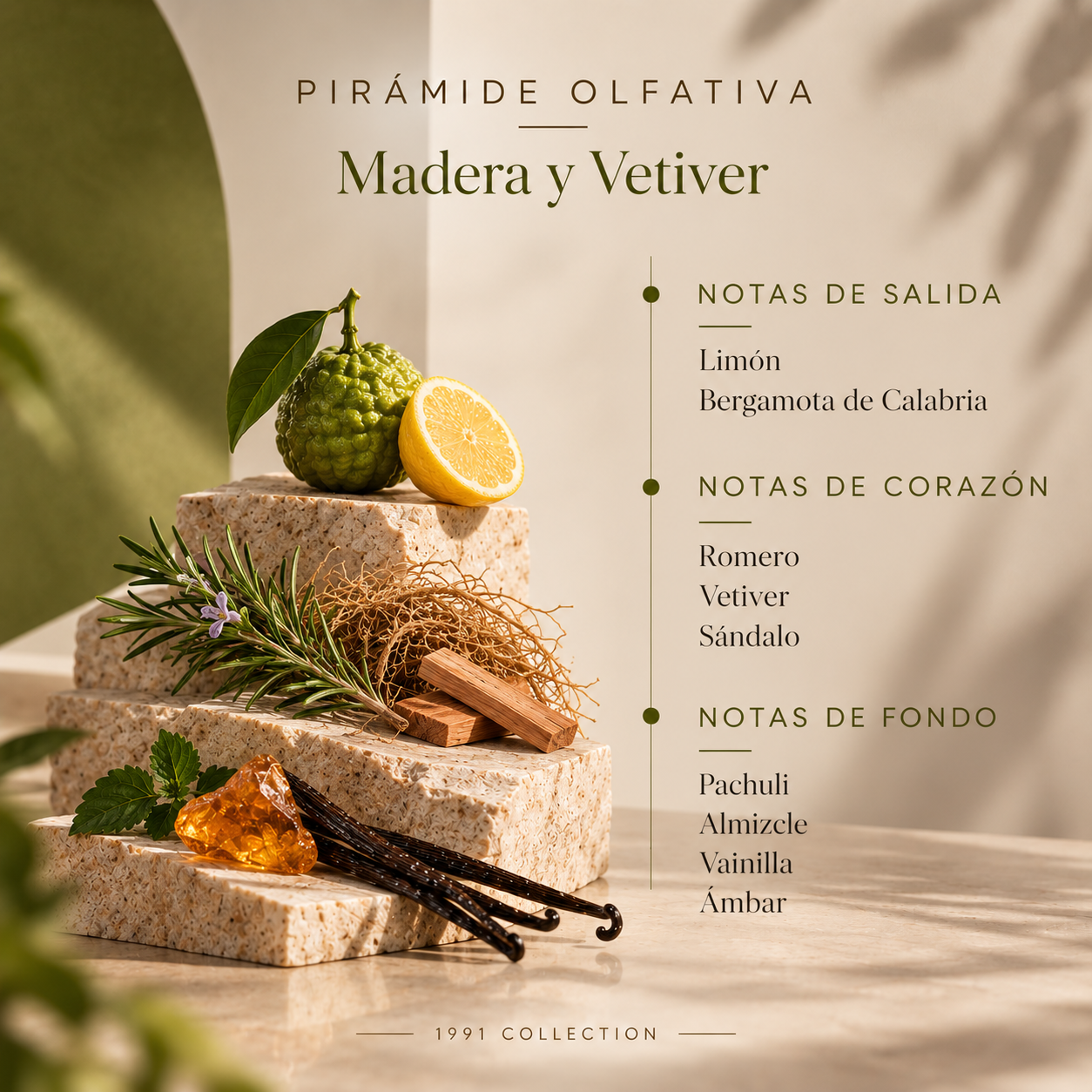 Pirámide olfativa del Ambientador Pulverizador Madera y Vetiver 300 ml SYS Aromas con limón, bergamota de Calabria, romero, vetiver, sándalo, pachuli, almizcle, vainilla y ámbar.
