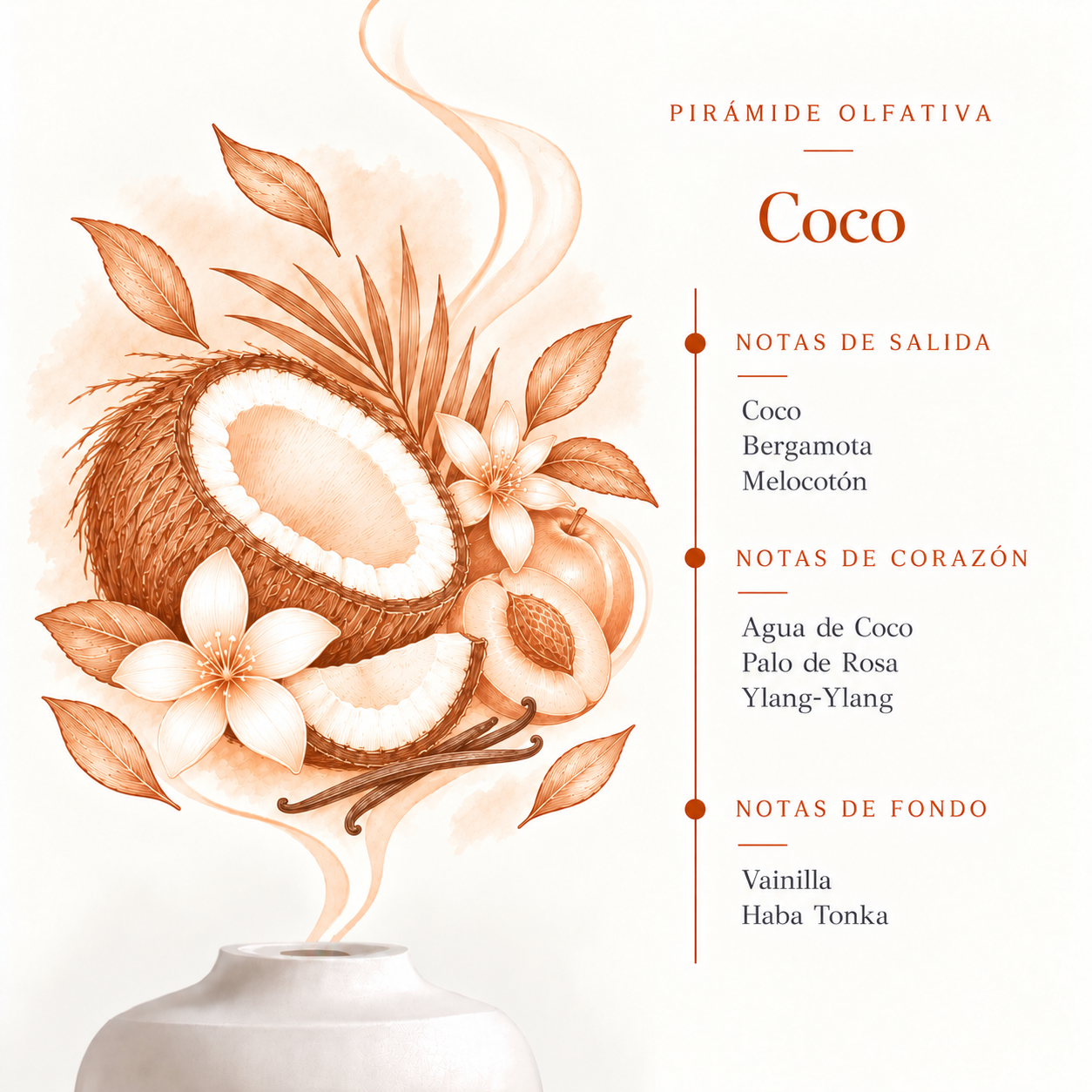 Pirámide olfativa de la Esencia Hidrosoluble Coco 50 ml SYS Aromas con notas de coco, bergamota, melocotón, agua de coco, ylang-ylang, vainilla y haba tonka.