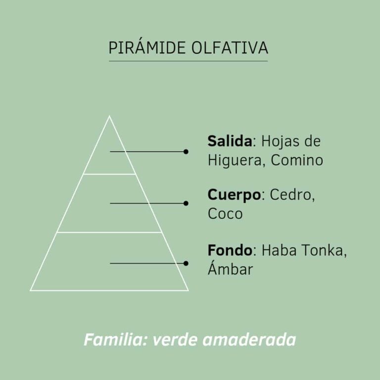 Pirámide olfativa de Esencia Hidrosoluble Hojas de Higuera 50ml SYS Aromas