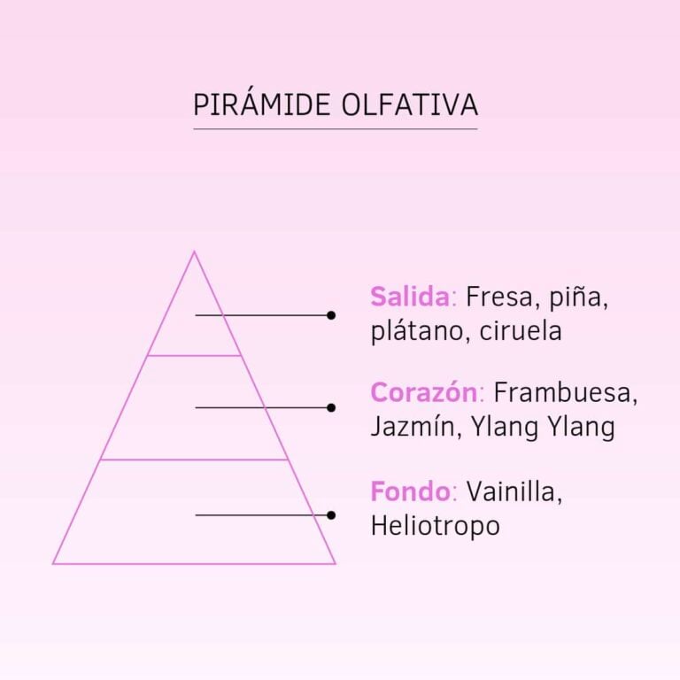 Pirámide olfativa de Esencia Hidrosoluble Chicle 50ml SYS Aromas con notas frutales florales y dulces