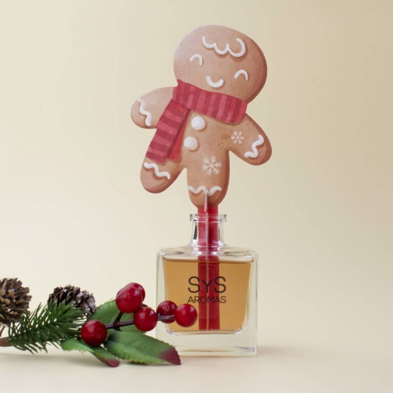 Ambientador Difusor Galleta de Navidad Canela Jengibre 90ml SYS Aromas con frutos rojos y piñas