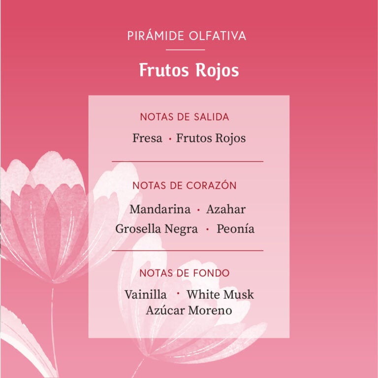 Pirámide olfativa del Ambientador Difusor Flor Frutos Rojos 90 ml SYS Aromas con fresa, frutos rojos, mandarina, azahar, grosella negra, peonía, vainilla, almizcle blanco y azúcar moreno.
