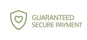 pago-seguro_eng