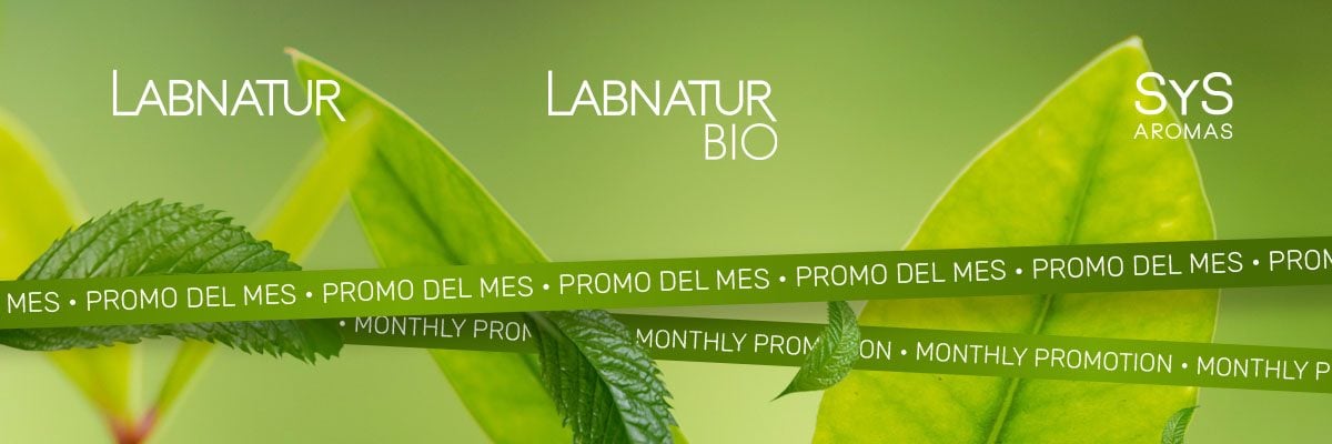 promo-web-generica